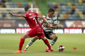 九游娱乐官网在线-葡超赛程吃紧，纽卡斯尔今夜止住颓势，信心回归，心理建设被强调(葡超联赛程表)